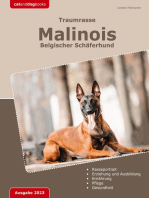Traumrasse: Malinois: Belgischer Schäferhund