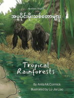 Tropical Rainforests (Burmese-English)
