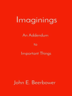 Imaginings: An Addendum  to   Important Things