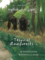 Tropical Rainforests (Pashto-English)