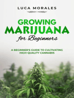 Growing Marijuana for Beginners: A Beginner's Guide to Cultivating  High-Quality Cannabis