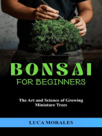 Bonsai for Beginners: The Art and Science  of Growing Miniature Trees
