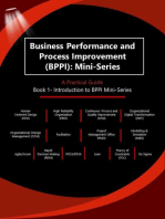 Business Performance and Process Improvement (BPPI): Mini-Series A Practical Guide Book 1: Introduction to BPPI Mini-Series: Business Performance and Process Improvement (BPPI): Mini-Series A Practical Guide, #1