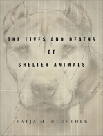The Lives and Deaths of Shelter Animals