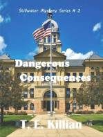 Dangerous Consequences: Stillwater Mystery Series, #2