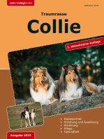 Traumrasse: Collie: 2. aktualisierte Auflage