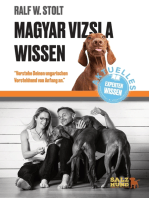 Magyar Vizsla Wissen