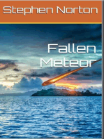 Fallen Meteor