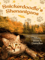 Snickerdoodle's Shenanigans: Cats in the Mirror, #6