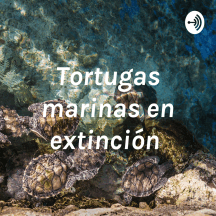 Tortugas marinas en extinción