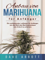 Anbau von Marihuana für Anfänger