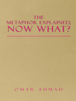 The Metaphor Explained, Now What?