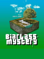 Biarlass' mystery