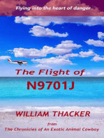 The Flight of N9701J