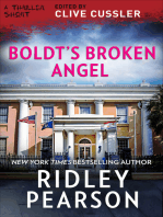 Boldt's Broken Angel