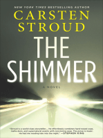The Shimmer: A Novel