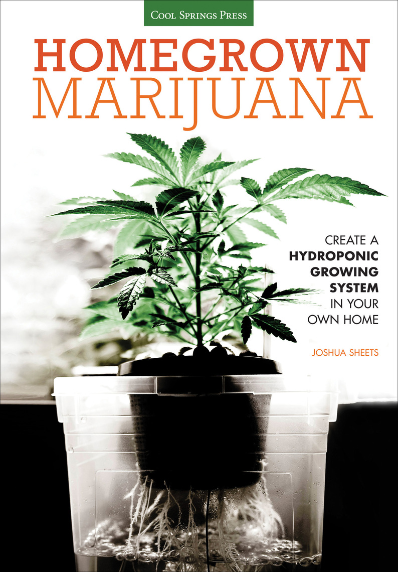 How To Grow Marijuana In Your Home