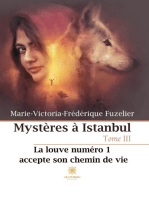 Mystères à Istanbul - Tome 3: La louve numéro 1 accepte son chemin de vie