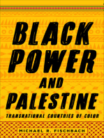 Black Power and Palestine: Transnational Countries of Color