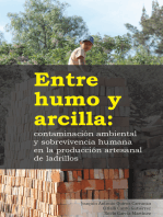 Entre humo y arcilla: contaminación ambiental y sobrevivencia humana en la producción artesanal de ladrillos