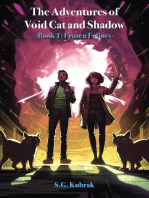 The Adventures of Void Cat and Shadow