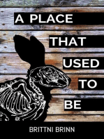 A Place That Used to Be: The Patch Project, #2