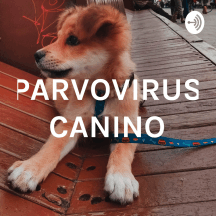 PARVOVIRUS CANINO