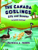 The Canada Goslings