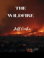 The Wildfire