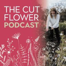 Cut Flower Farming - Growth and Profit in Your Business is renamed The Cut Flower Podcast