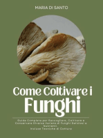 Come Coltivare i Funghi