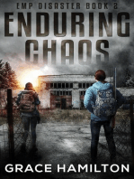 Enduring Chaos