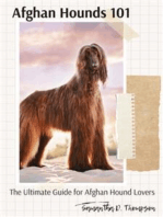 Afghan Hounds 101: The Ultimate Guide for Afghan Hound Lovers: The Ultimate Guide for Afghan Hound Lovers