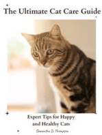 The Ultimate Cat Care Guide: Expert Tips for Happy and Healthy Cats