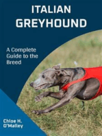 Italian Greyhound: A Complete Guide to the Breed