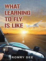 What Learning to Fly Is Like