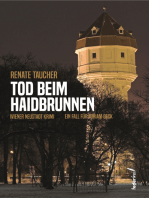 Tod beim Haidbrunnen