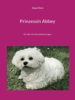 Prinzessin Abbey: Ein Jahr der Herausforderungen