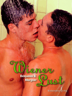 Wiener Lust