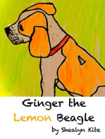 Ginger the Lemon Beagle