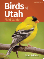 Birds of Utah Field Guide