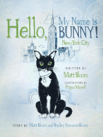 Hello, My Name is Bunny!: New York City