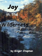Joy in the Wilderness
