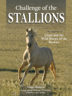 Challenge of the Stallions