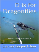 D is for Dragonflies