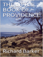 The Little Book of Providence