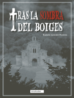 Tras la sombra del boiges