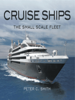 Cruise Ships: The Small Scale Fleet