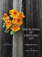 The Buddha of Limitless Joy: Episode One