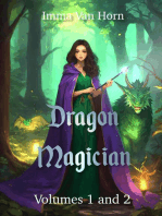 Dragon Magician